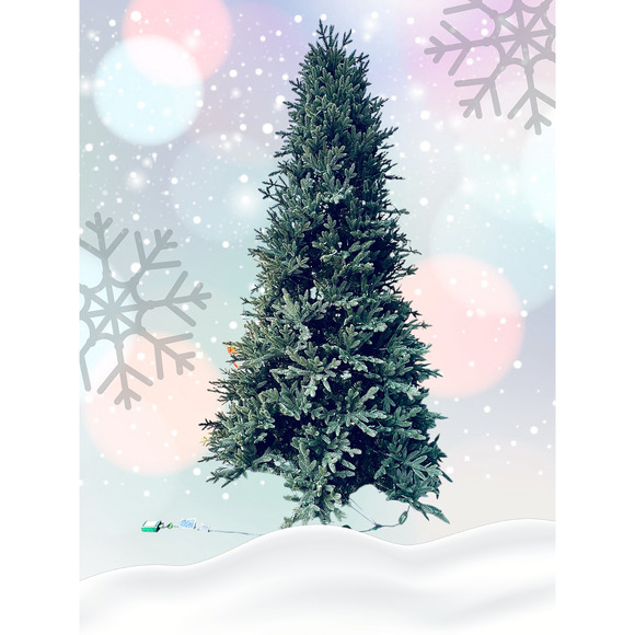 Costco Artificial ****SOLD***** - Picture 2 of 16